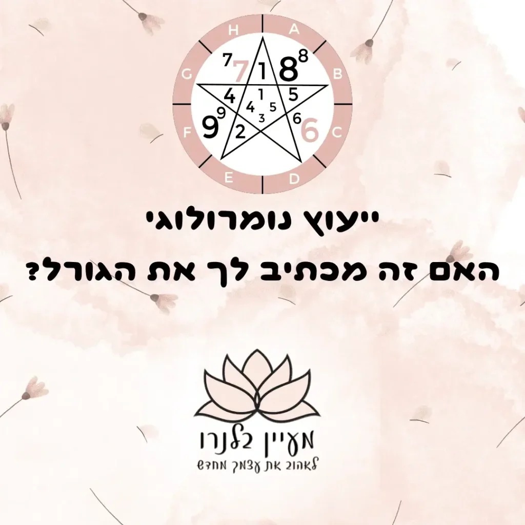 מודעת קידום לייעוץ נומרולוגי של מעיין בלגוון עם גלגל מספרים