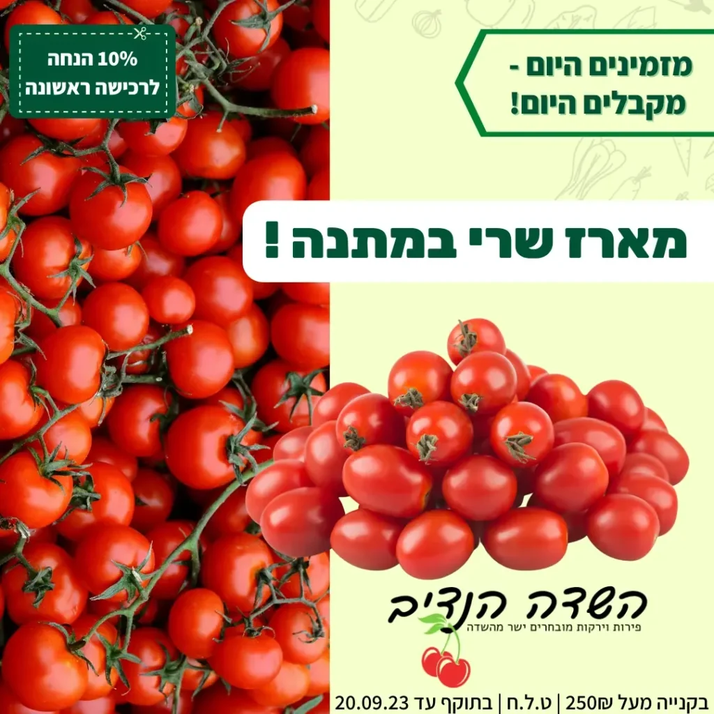 מודעת מארז עגבניות שרי במתנה של השדה הנדיב עם עגבניות טריות