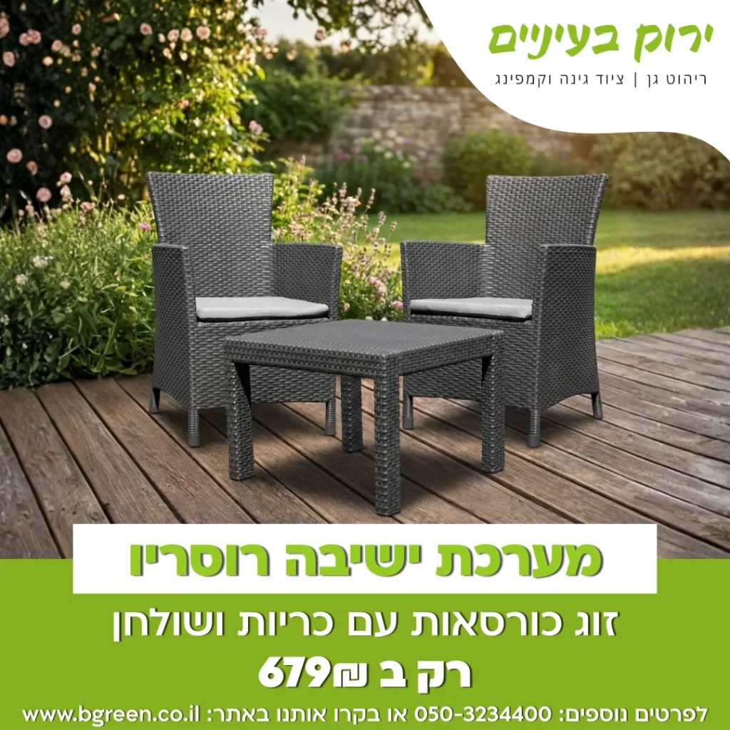 מודעת ירוק בעיניים למערכת ישיבה רוסריו במחיר 679 שקלים